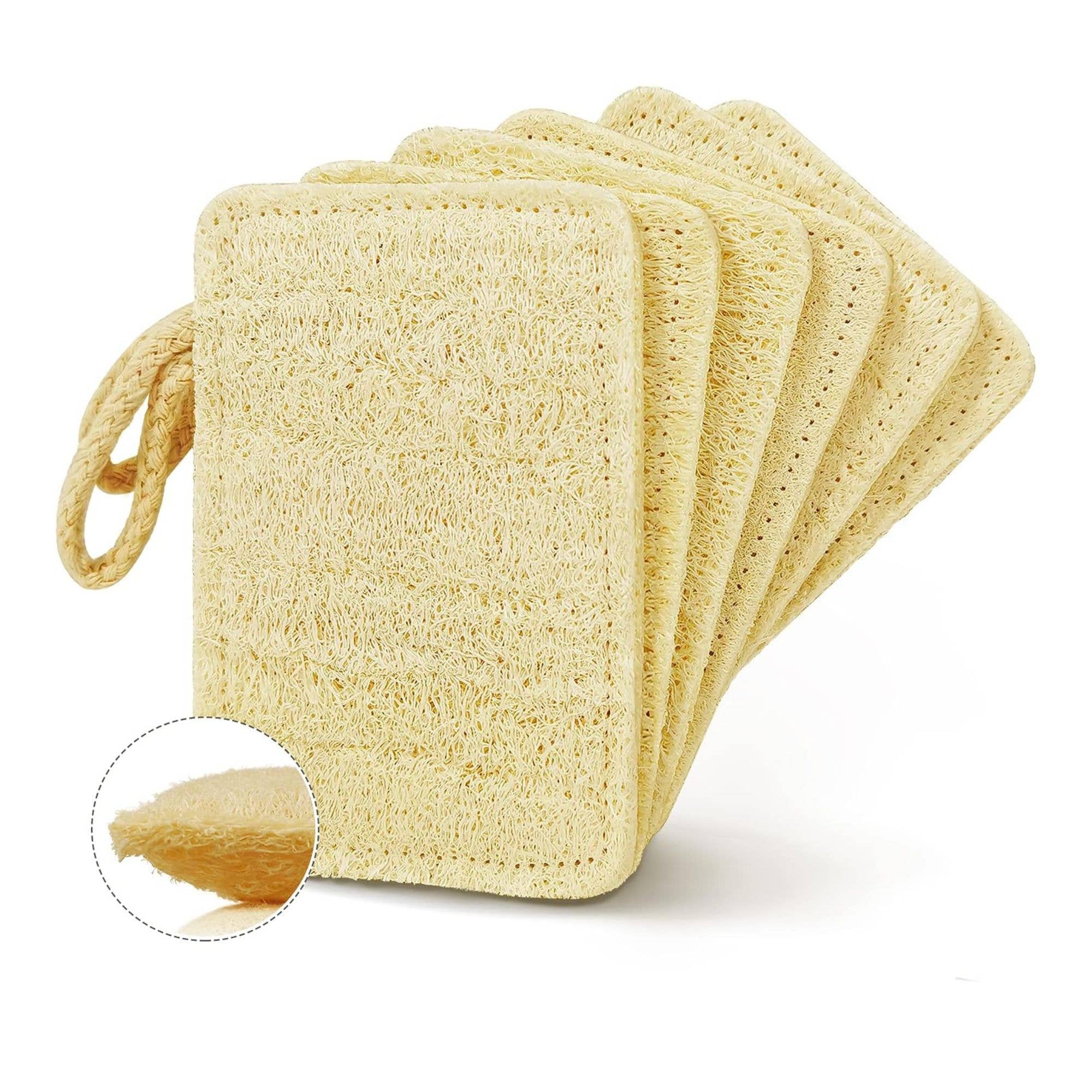 Natural and biodegradable loofah sponge