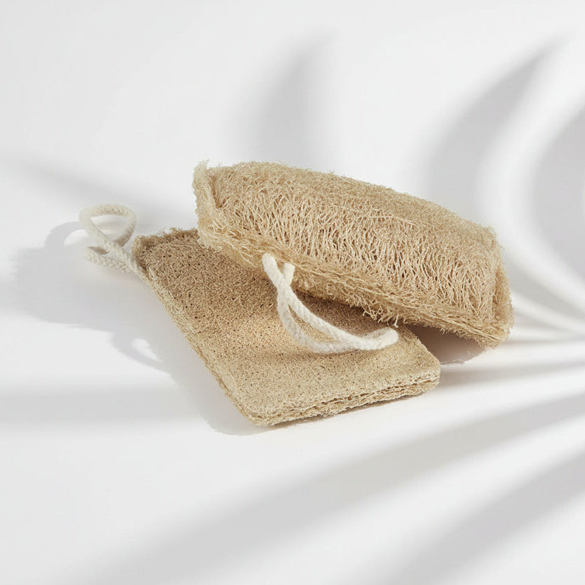 Natural and biodegradable loofah sponge