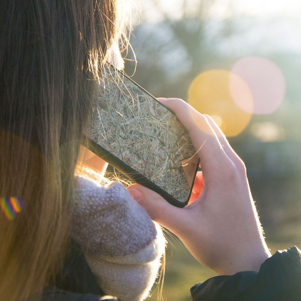 Organic phone case - Alpine Hay