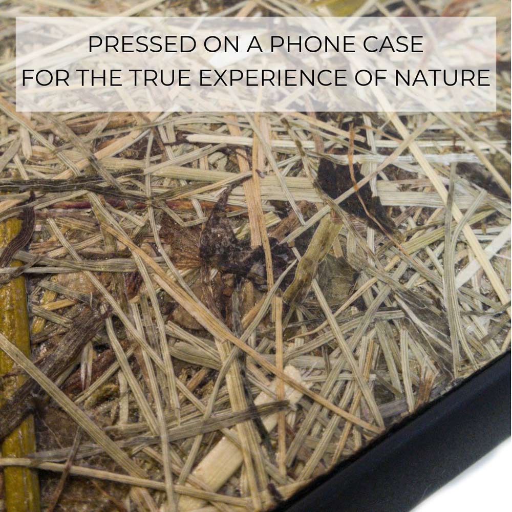 Organic phone case - Alpine Hay