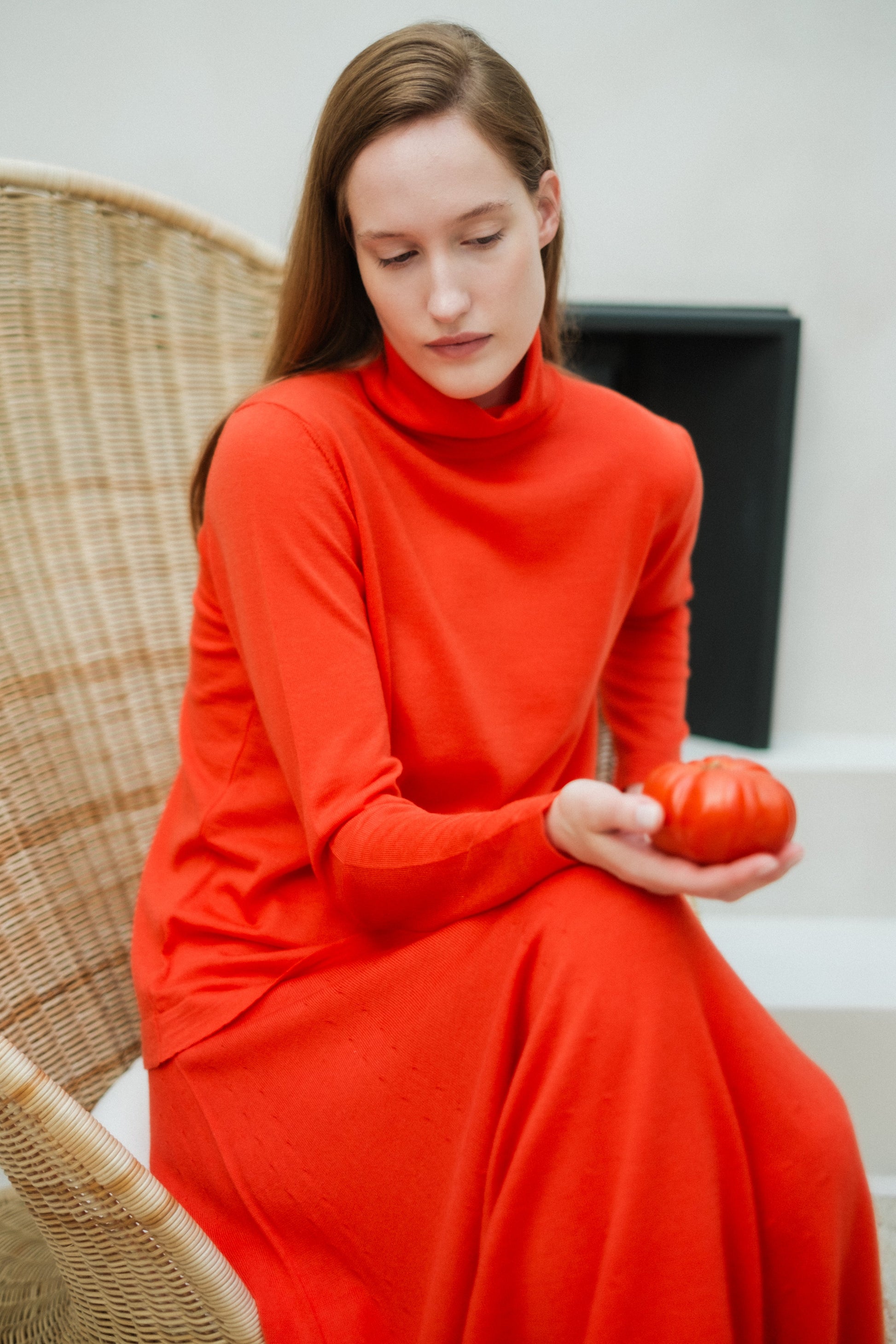 Extra Fine Merino Wool Turtleneck with Straight Sleeve-0