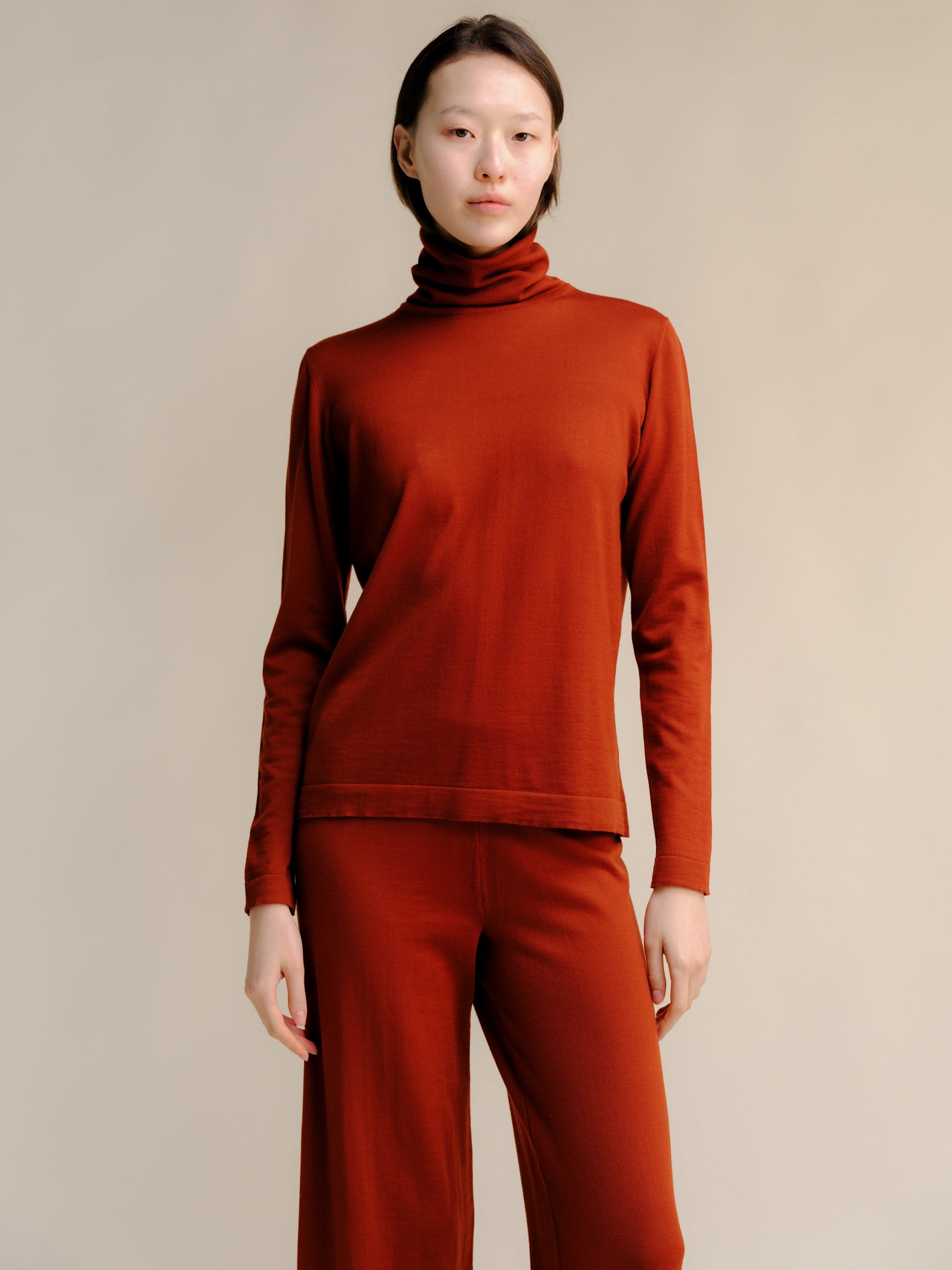 Extra Fine Merino Wool Turtleneck with Straight Sleeve-11