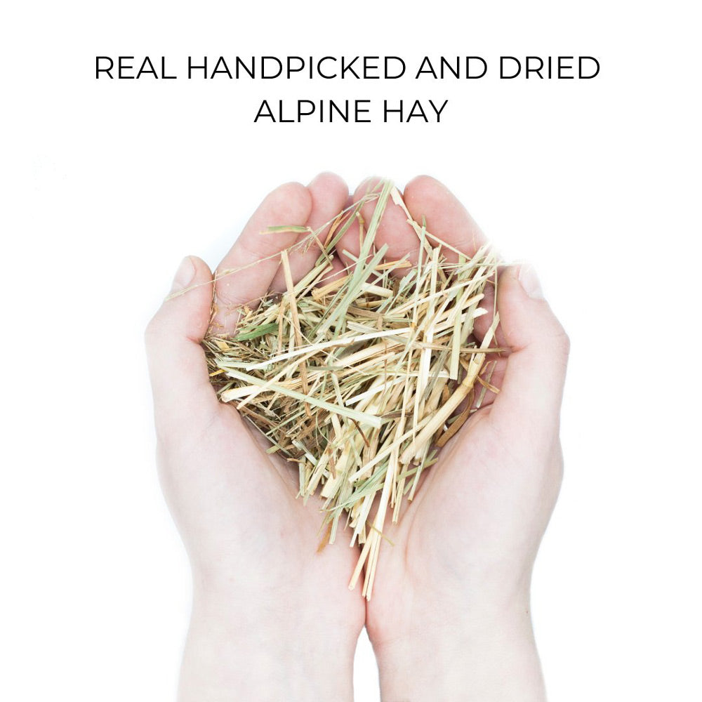 Organic phone case - Alpine Hay