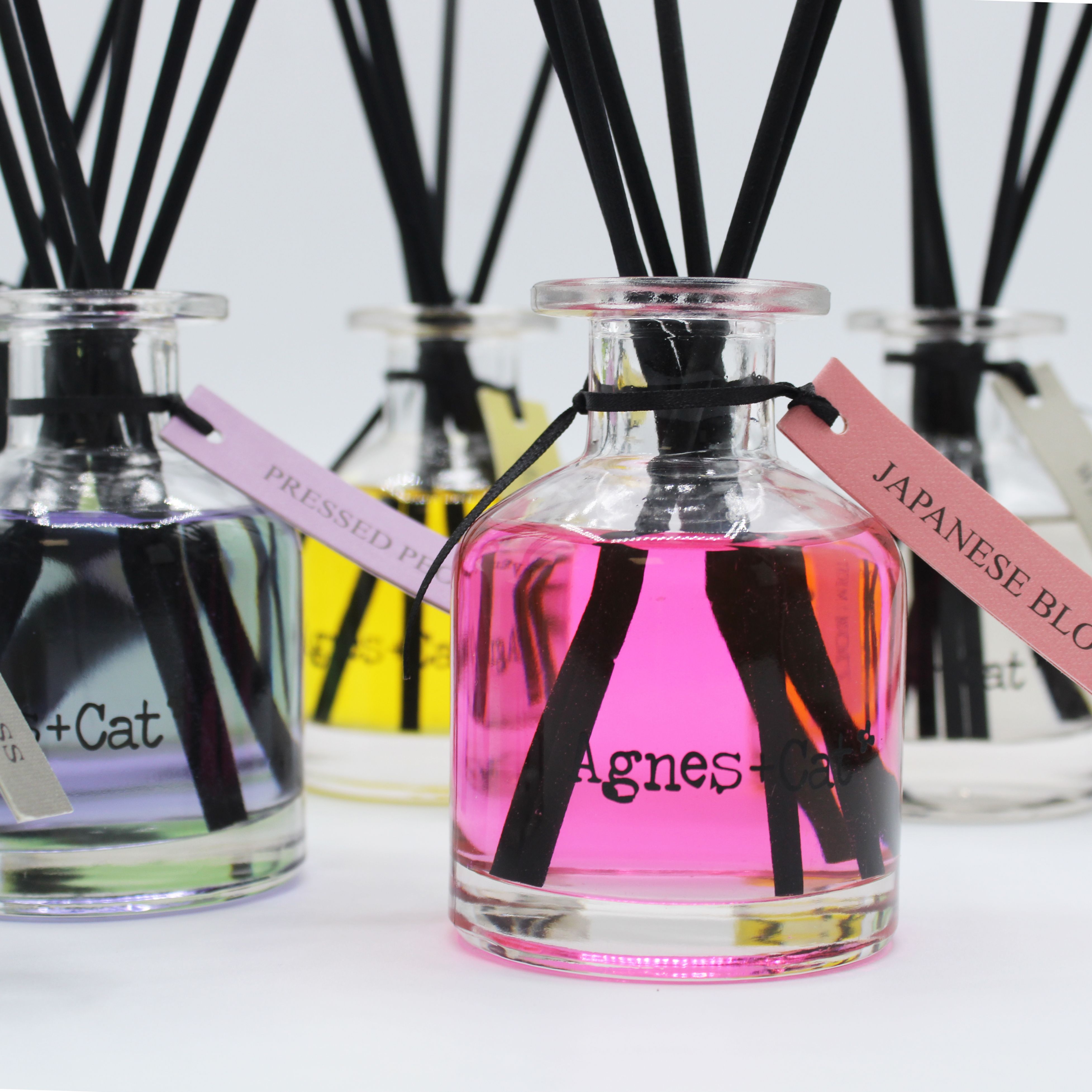 Box of Reed Diffuser - Pressed Peonie