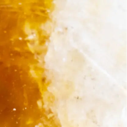 HH Tarot Roll On -  The Lion